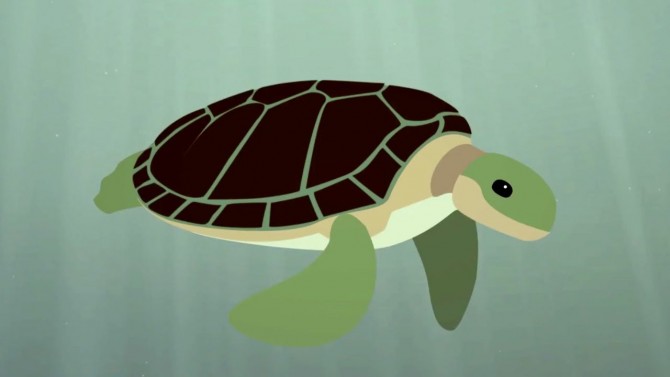 turtlesea